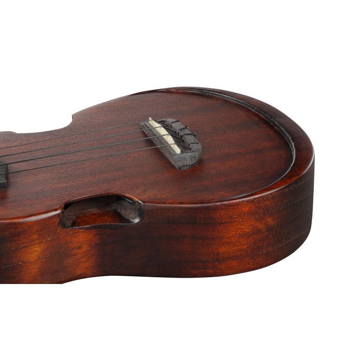 Укулеле Ibanez AUC14 OVL (234982) изображение 12