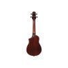 Укулеле Ibanez AUC14 OVL (234982) изображение 2