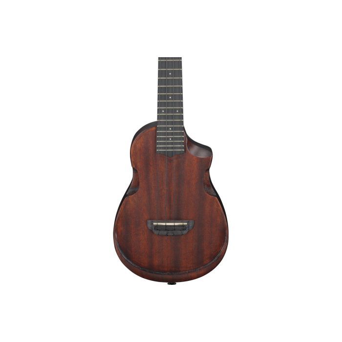 Укулеле Ibanez AUC14 OVL (234982) изображение 4