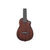 Укулеле Ibanez AUC14 OVL (234982) изображение 4