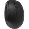 Мышка Canyon MW-25 LED Silent Wireless/Bluetooth Black (CNS-CMSW25)