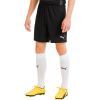 Шорты Puma teamGOAL 23 knit Shorts 704262-03 чорний L (4062451188290)