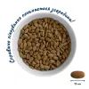 Сухий корм для кішок Home Food For large breeds з телятиною, лососем та в’яленими томатами 1.6 кг (4820235021184) зображення 3