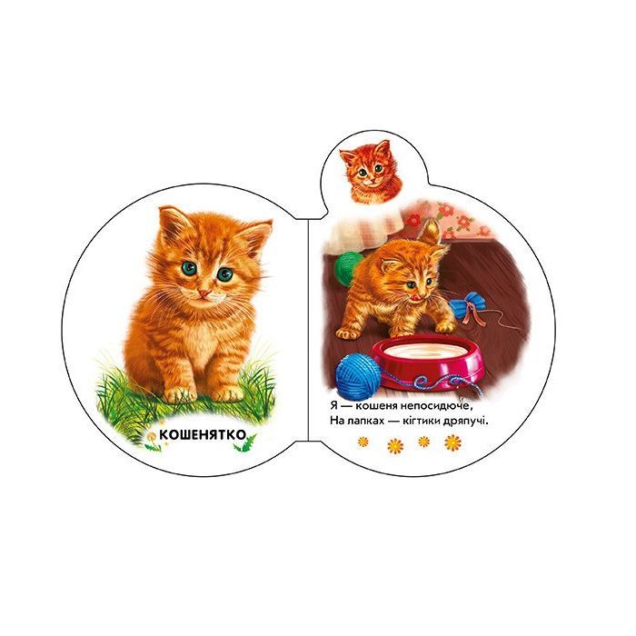 Книга Малята на подвір'ї + Аудіо-бонус - Ірина Сонечко Ранок (9789667508586) зображення 2