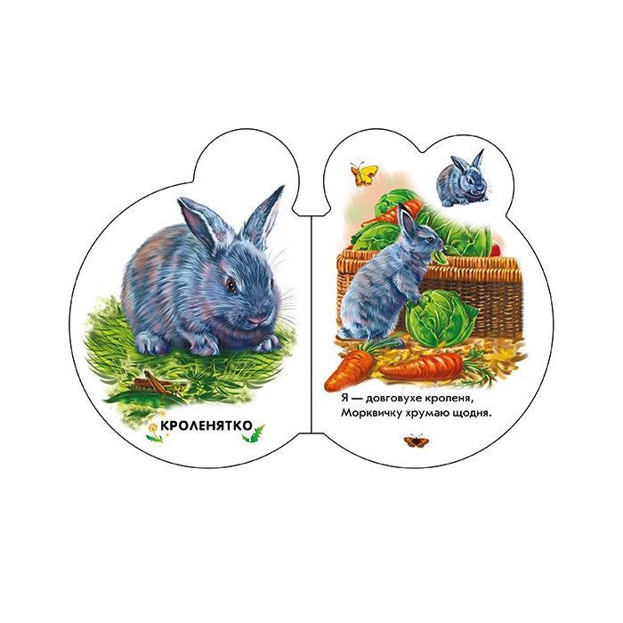 Книга Малята на подвір'ї + Аудіо-бонус - Ірина Сонечко Ранок (9789667508586) зображення 3