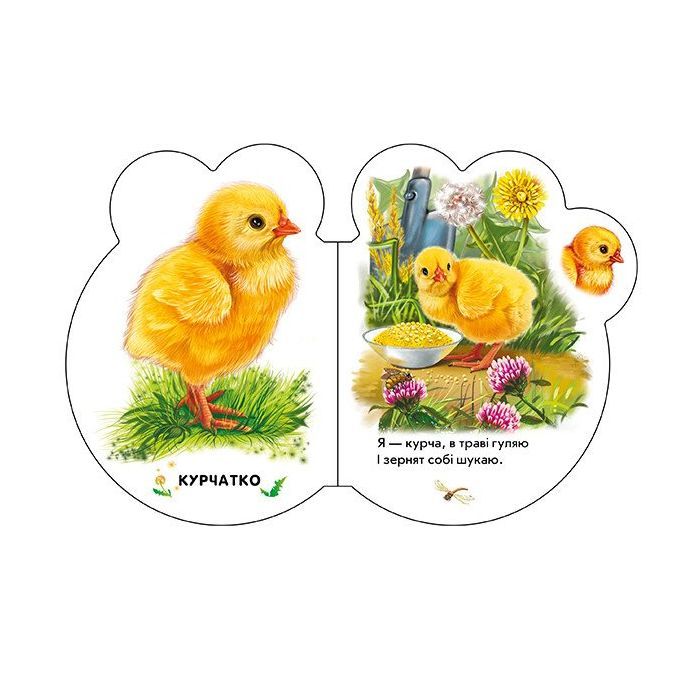 Книга Малята на подвір'ї + Аудіо-бонус - Ірина Сонечко Ранок (9789667508586) зображення 4