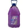 Омыватель автомобильный VITOL Лісова Ягода 4,5л (VTW-2062)