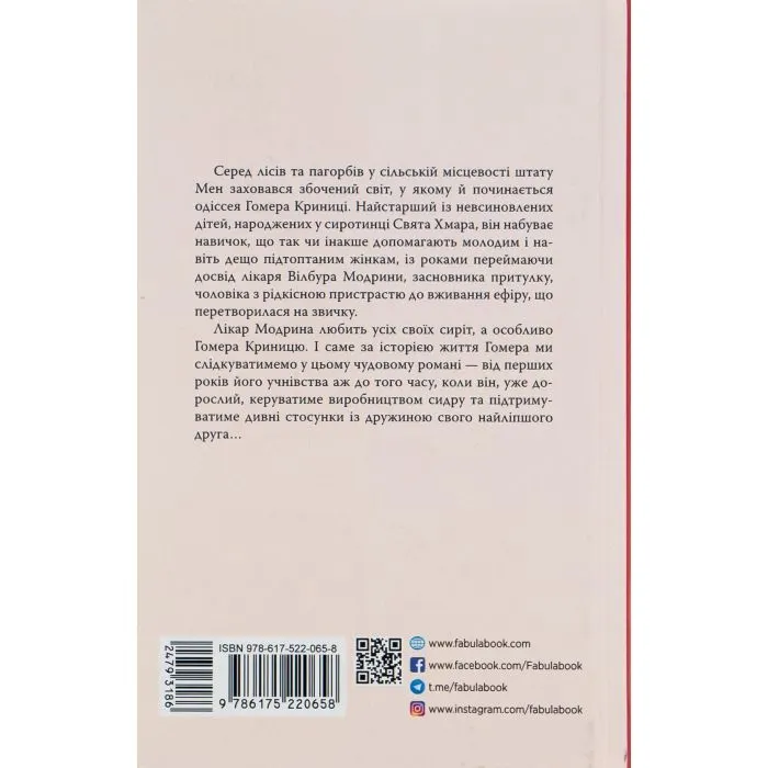 Книга Правила будинку сидру - Джон Ірвінг Фабула (9786175220658) зображення 2