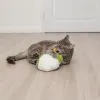 Игрушка для кошек Trixie Цветная капуста XXL с кошачьей мятой 18 см (4011905531588) изображение 2