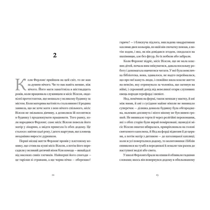 Книга Такі дрібниці - Клер Кіґан Видавництво Старого Лева (9789664487112) зображення 5