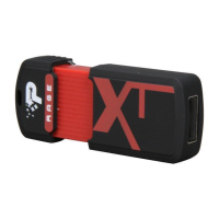 USB флеш накопитель Patriot 8GB XT Rage Quad Channel USB 2.0 (PEF8GRUSB) изображение 4