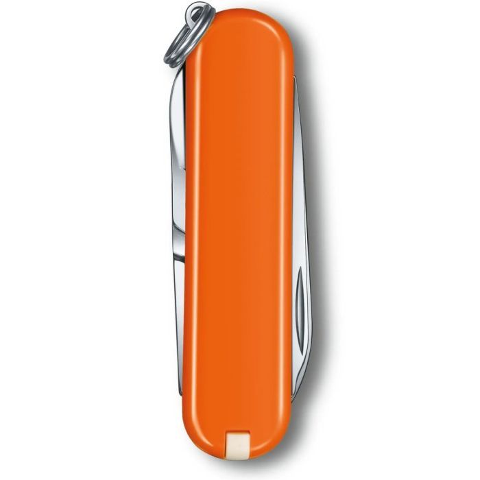 Нож Victorinox Classic SD Colors Style Icon (0.6223.G) изображение 3