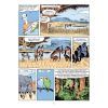 Комикс Sapiens. Історія народження людства. Том 1 - Ювал Ной Харарі BookChef (9789669935694) изображение 12