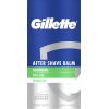 Бальзам після гоління Gillette Series Заспокійливий з алое вера 100 мл (8001090303431) зображення 2