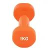 Гантель PowerPlay 4125 Achilles 1 кг Помаранчева (PP_4125_1kg) изображение 5