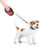 Поводок для собак WAUDOG R-leash Конотопские магические войска светоотражающая лента M 5 м (8125-0232-01) изображение 4