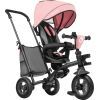 Детский велосипед Lionelo Tris Candy Rose (LO-TRIS CANDY ROSE)