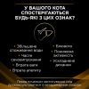 Сухой корм для кошек Purina Pro Plan Veterinary Diets NF с заболеванием почек 350 г (7613287886217) изображение 4