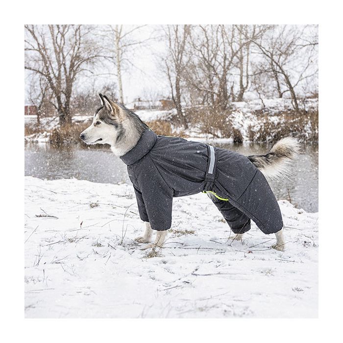 Комбинезон для животных Pet Fashion "COLD" M2 (серый) (4823082426270) изображение 5