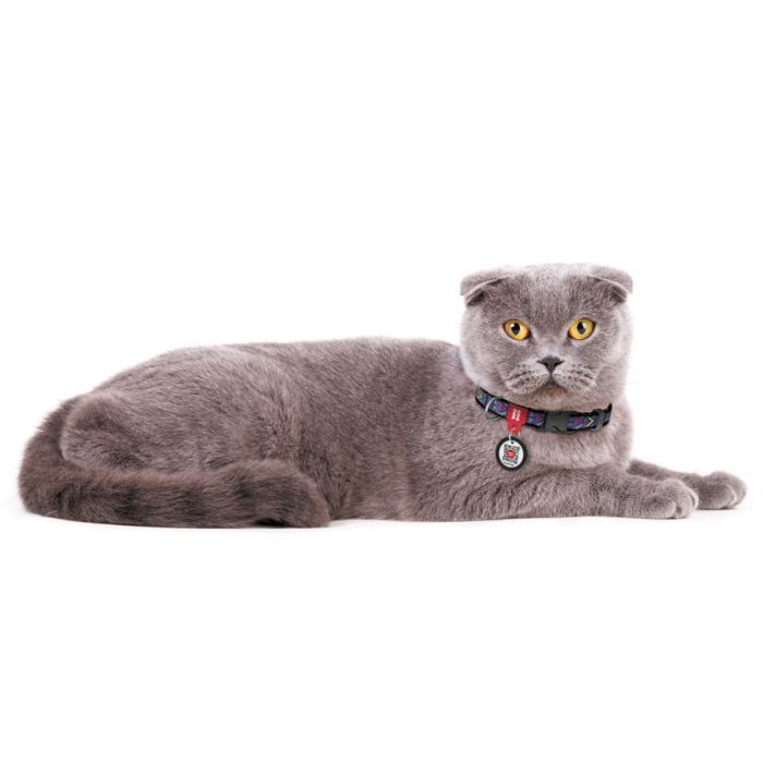 Ошейник для животных WAUDOG Nylon с QR паспортом "Инди" пластиковый фастекс XL (4679) изображение 3