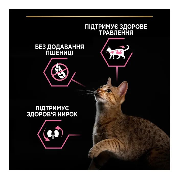 Сухой корм для кошек Purina Pro Plan Delicate Lamb со вкусом ягненка 3 кг (7613035846708) изображение 6