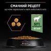 Сухой корм для кошек Purina Pro Plan Delicate Lamb со вкусом ягненка 3 кг (7613035846708) изображение 7