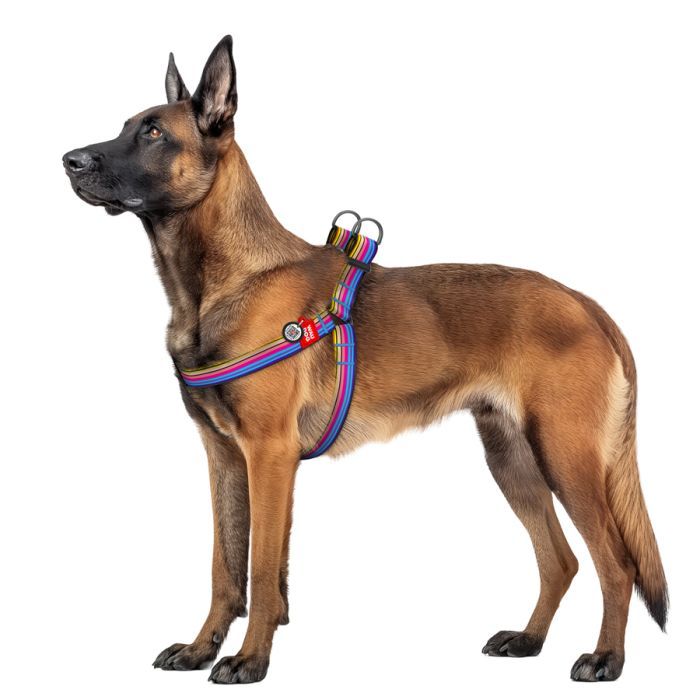 Шлей для собак WAUDOG Nylon с QR паспортом "Линия 1" пластиковый фастекс XL (324-0006) изображение 3