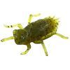 Силікон рибальський FishUP Dragonfly 0.75" 074 - Green Pumpkin Seed (12шт/уп) (1864.04.75)