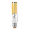 Лампочка Videx LED Filament T38F 24W E27 5000K (VL-T38F-24275)