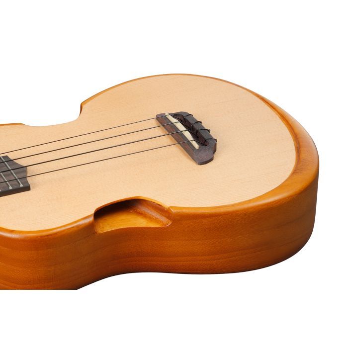 Укулеле Ibanez AUT10 OPN (234984) изображение 11