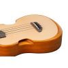 Укулеле Ibanez AUT10 OPN (234984) изображение 11