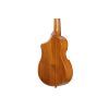 Укулеле Ibanez AUT10 OPN (234984) изображение 6