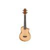 Укулеле Ibanez AUT10 OPN (234984)