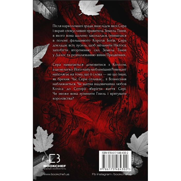 Книга Плоть і вогонь. Книга 3: Вогонь у плоті - Дженніфер Л. Арментраут BookChef (9786175484302) зображення 2