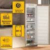 Морозильная камера Whirlpool WHSD18F013D1 изображение 4