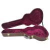 Кейс для гітари Cort Standard SFX Guitar Case (CGC77-SFX) зображення 2