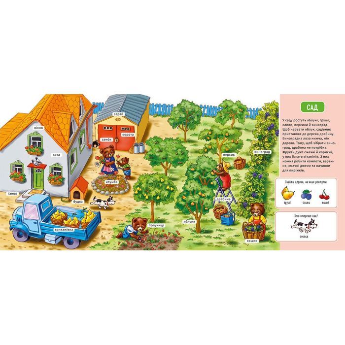Книга На фермі. Мій перший словничок Ранок (9789667510732) зображення 4
