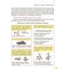 Учебник Біологія. 9 клас. Для ЗНЗ - К.М. Задорожний Ранок (9786170933614) изображение 12