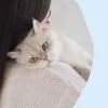 Витамины для кошек GimCat Nutri Kitten Bites для кошенят таблетки 40 г (4002064426280) изображение 7
