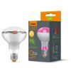 Лампочка Videx Filament R80FF 09W E27 1200K (VL-R80FF-09271) зображення 2