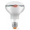 Лампочка Videx Filament R80FF 09W E27 1200K (VL-R80FF-09271)