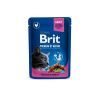 Влажный корм для кошек Brit Premium Cat Pouches with Chicken&Turkey 100 г (8595602506019)