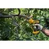Секатор DeWALT аккумуляторный 18В XR Li-lon, диам. веток 38 мм, вес 3.9 кг (без АКБ и ЗУ) (DCMPP568N) изображение 7