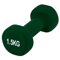 Фото - Штанги и гантели PowerPlay Гантель  4125 Achilles 1.5 кг Зелена  PP41251.5kg (PP41251.5kg)