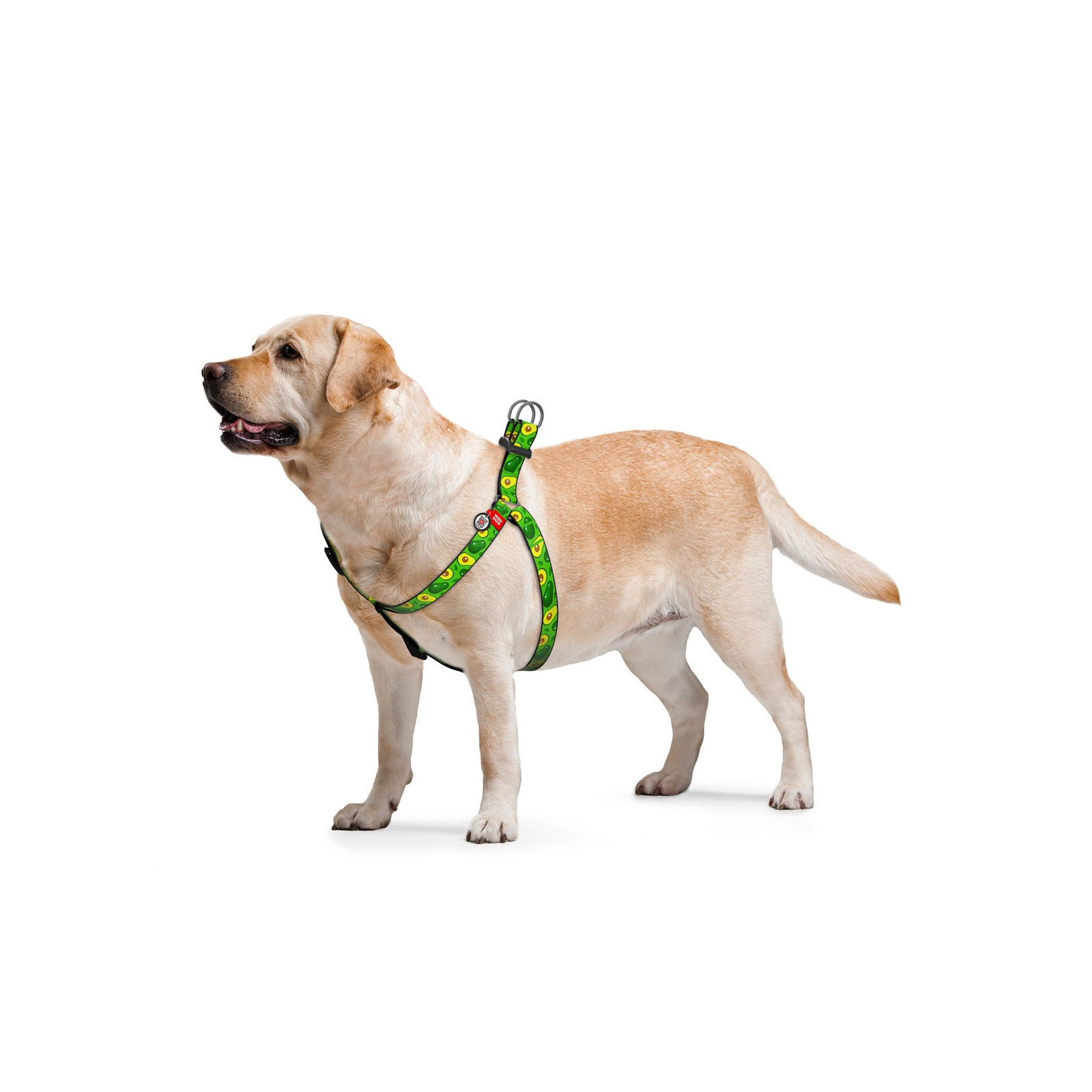 Шлея для собак WAUDOG Nylon з QR паспортом анатомічна "Авокадо" S (5030) зображення 3
