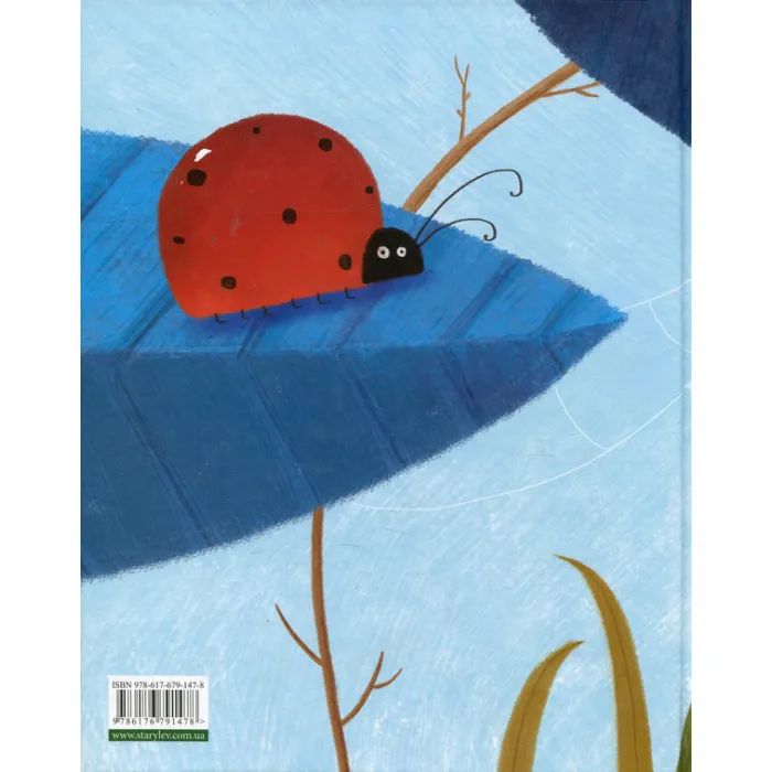Книга Босоніжки для стоніжки - Мар'яна Савка Видавництво Старого Лева (9786176791478) зображення 2