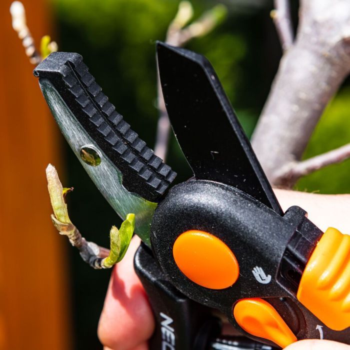 Секатор Neo Tools контактний, d різу 18мм, 200мм, 240г (15-203) зображення 3