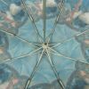 Парасоля Fulton National Gallery Minilite-2 L849 The Umbrellas (L849-031872) зображення 10