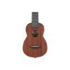 Укулеле Ibanez UKS100-OPN (232727) изображение 4
