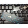 Наклейка на клавиатуру BestKey миниатюрная непрозрачная черная, 56, голубой (BKm4BLU/042) изображение 2